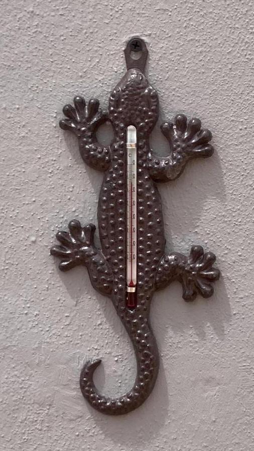 Gran Terraza Διαμέρισμα Κοραλέχο Εξωτερικό φωτογραφία